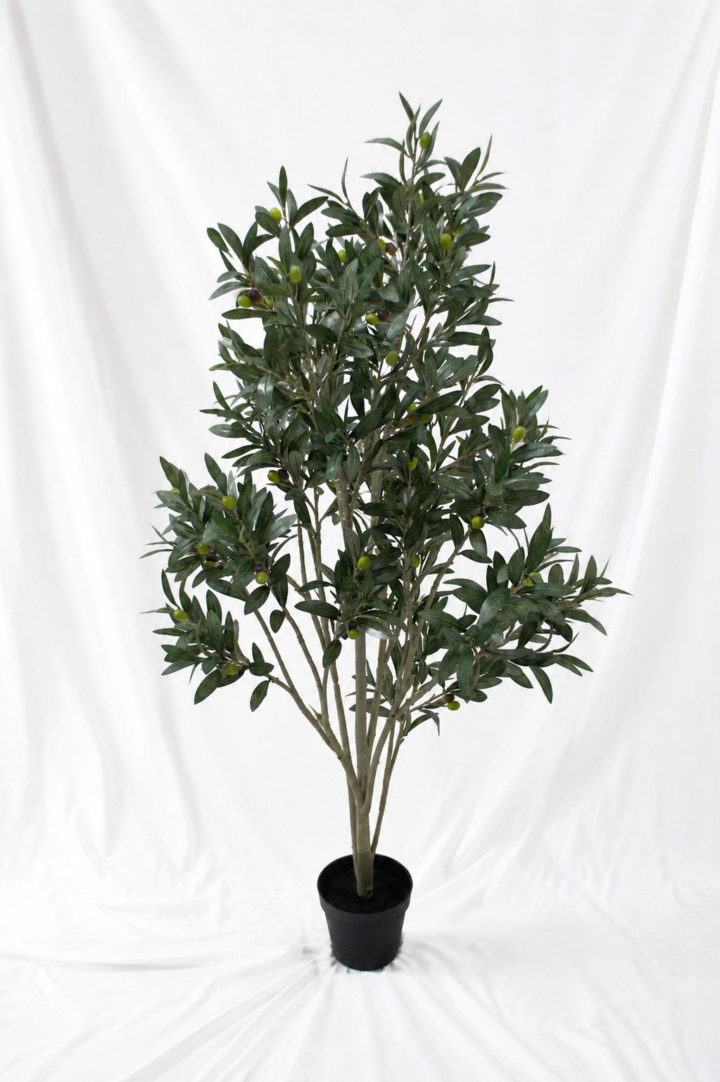Grand Tuscan Olive Tree 114cm
