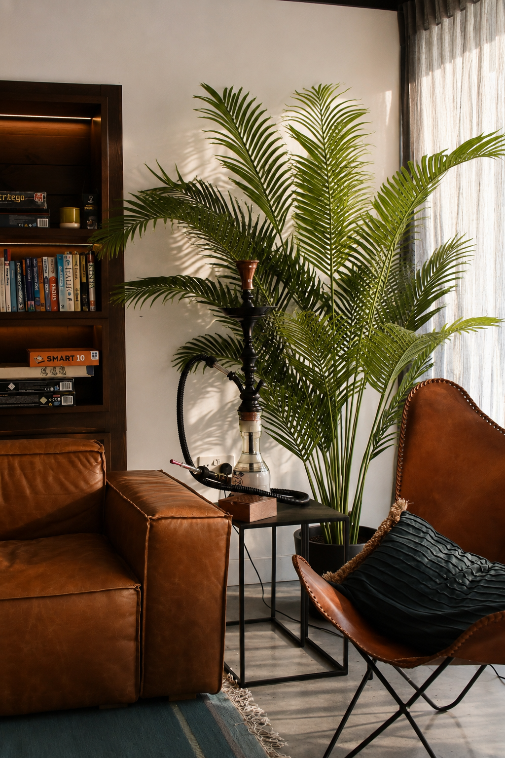 Paradise Palm Tree