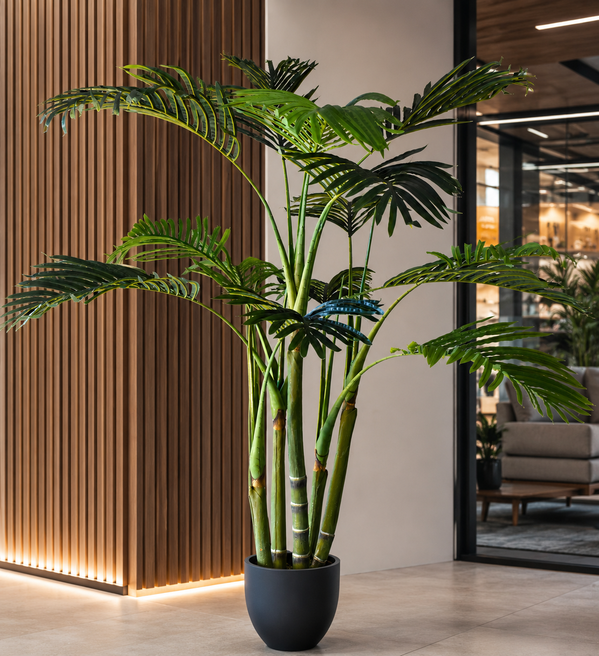 Areca Palm Tree