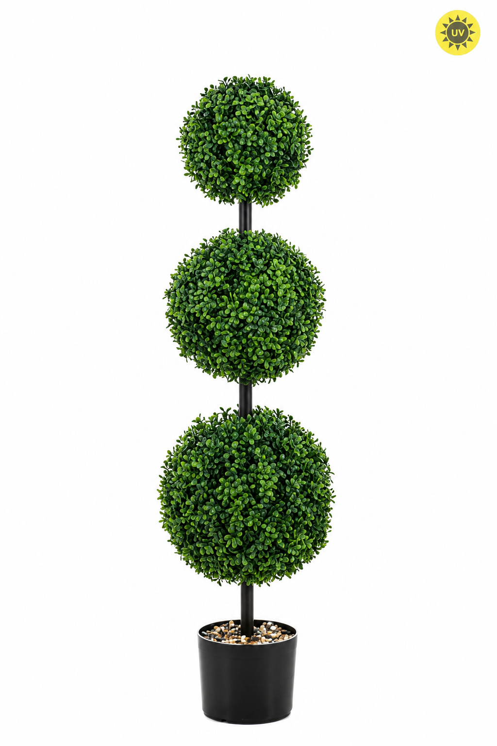 Boxwood Triple Ball Tree