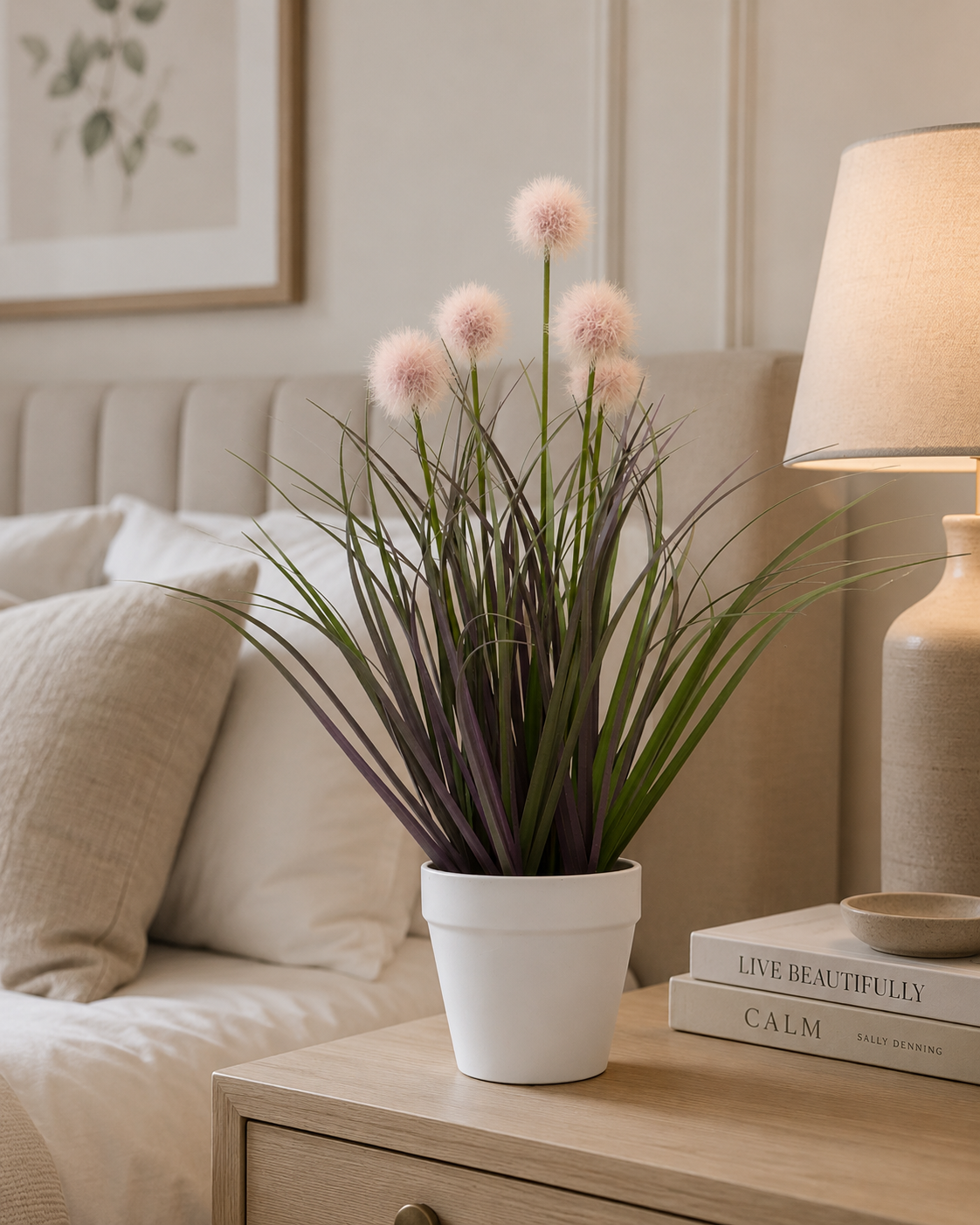Pompon Plant