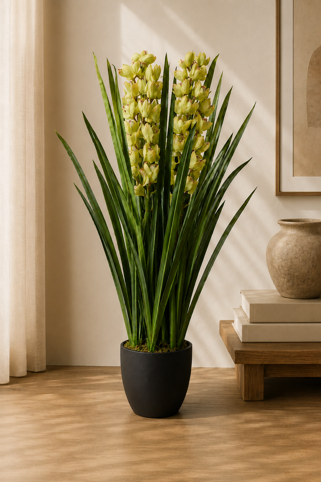 Dwarf Cymbidium Plant