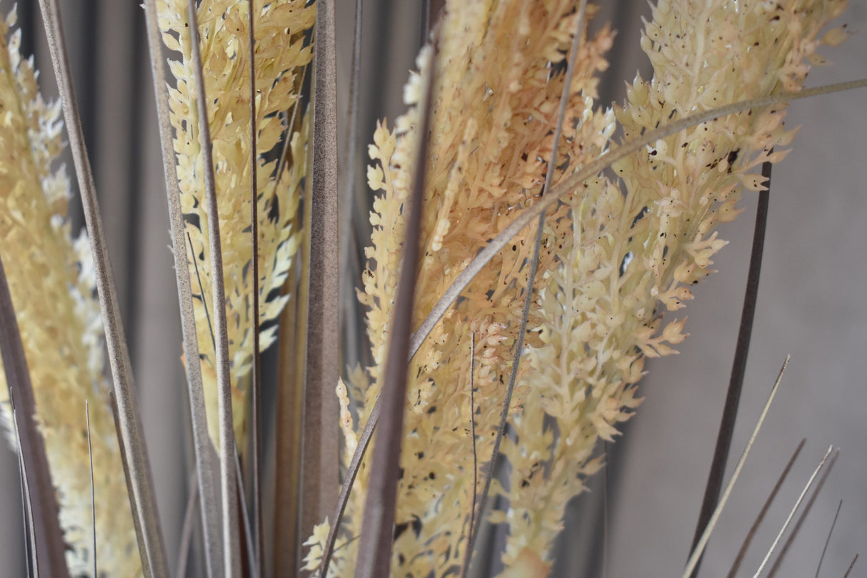 Grain Grass