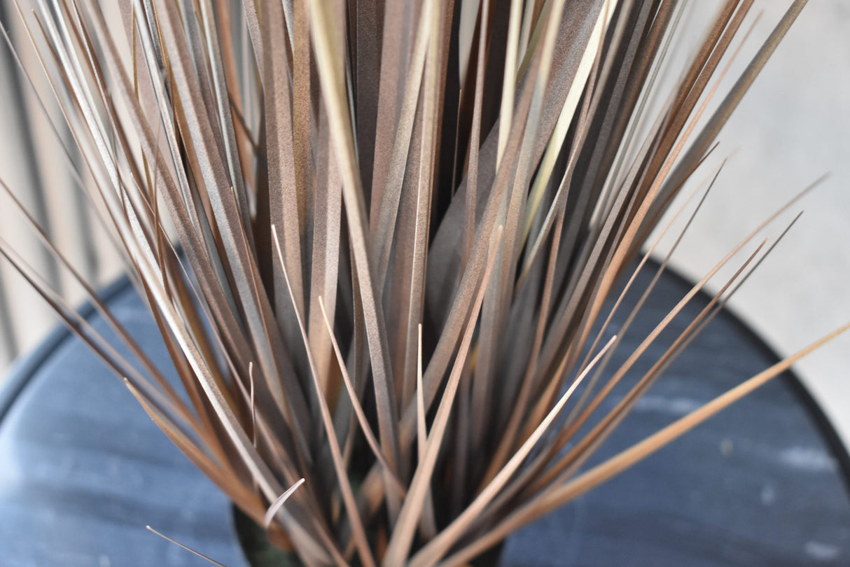 Grain Grass