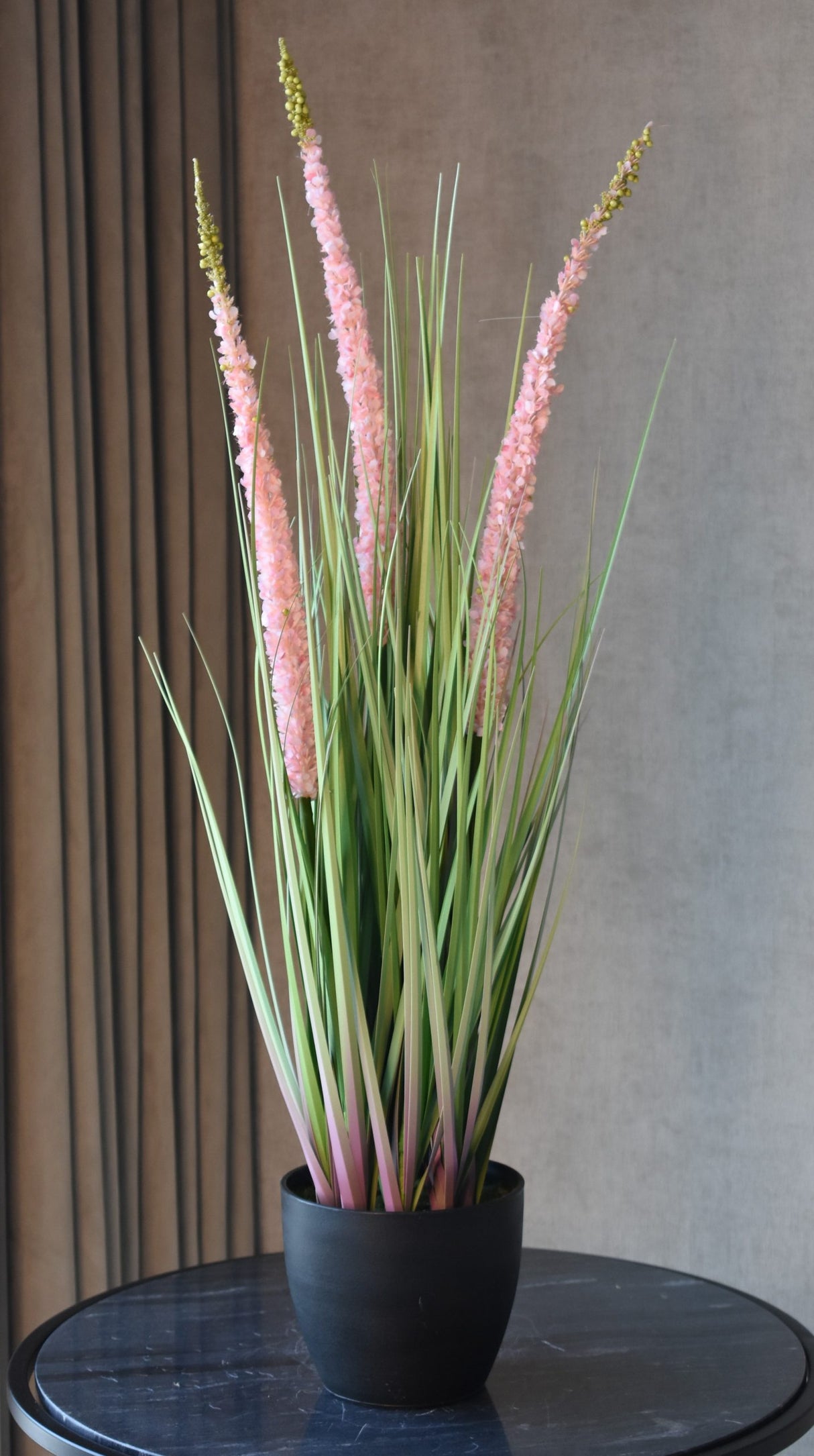 Eremurus Grass