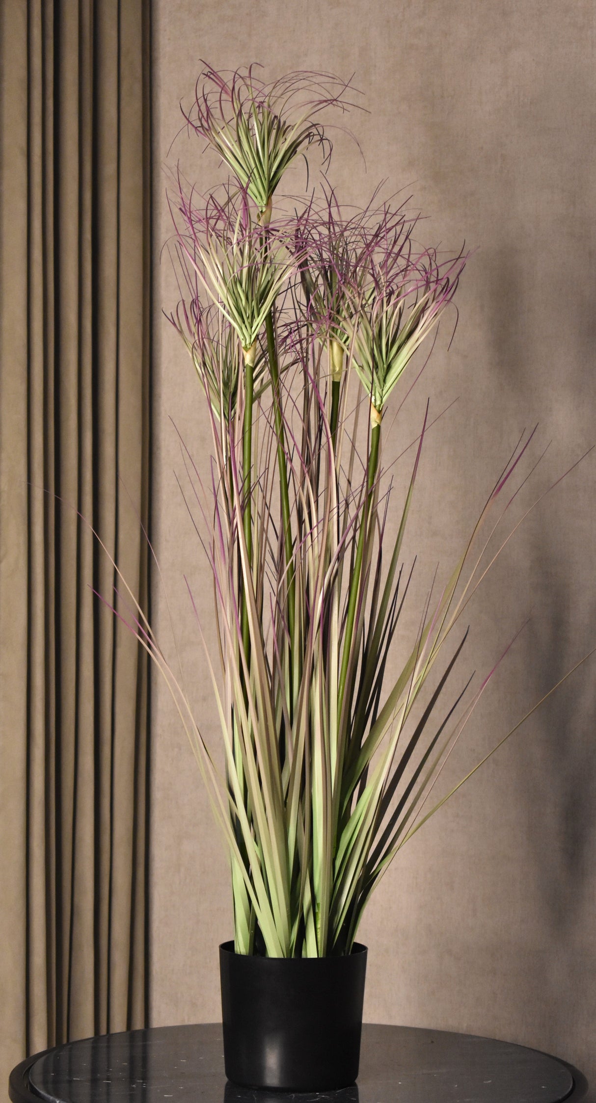 Ornamental Grass