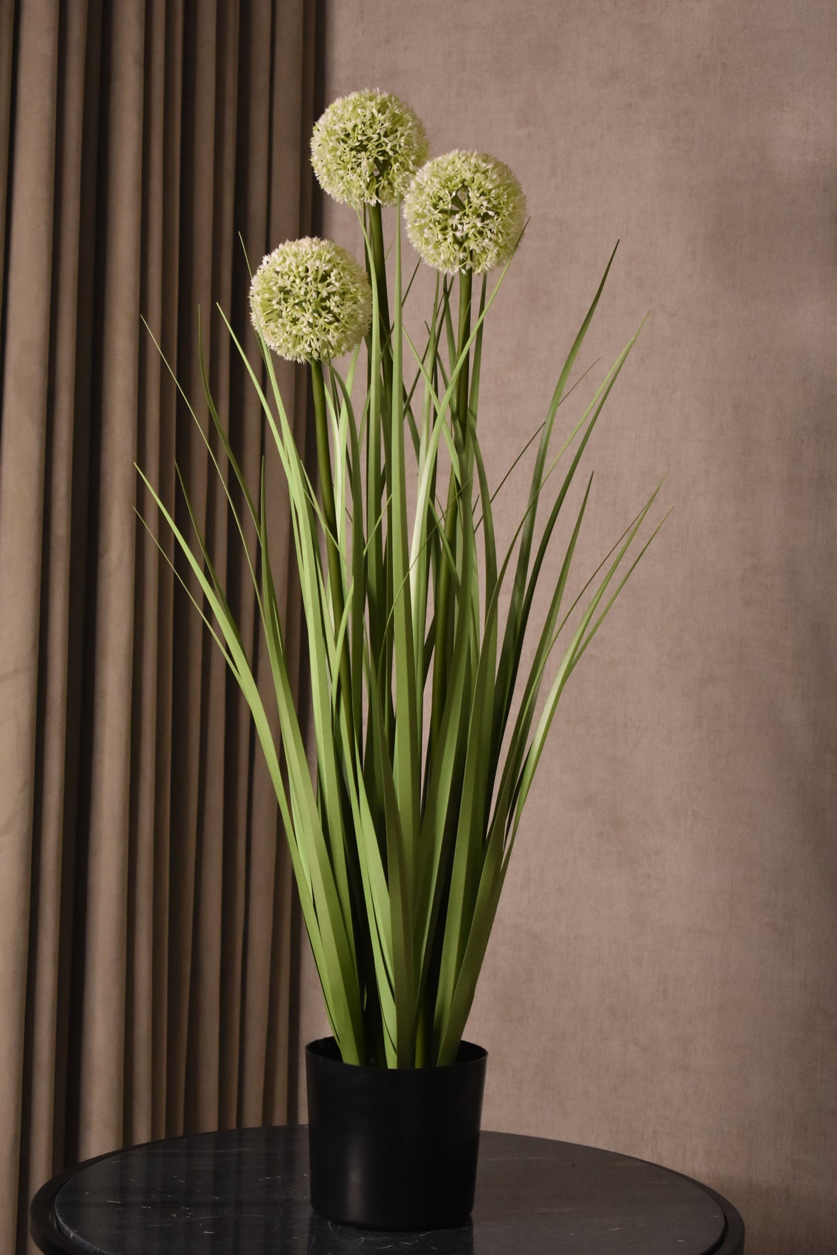 Allium Globe Grass