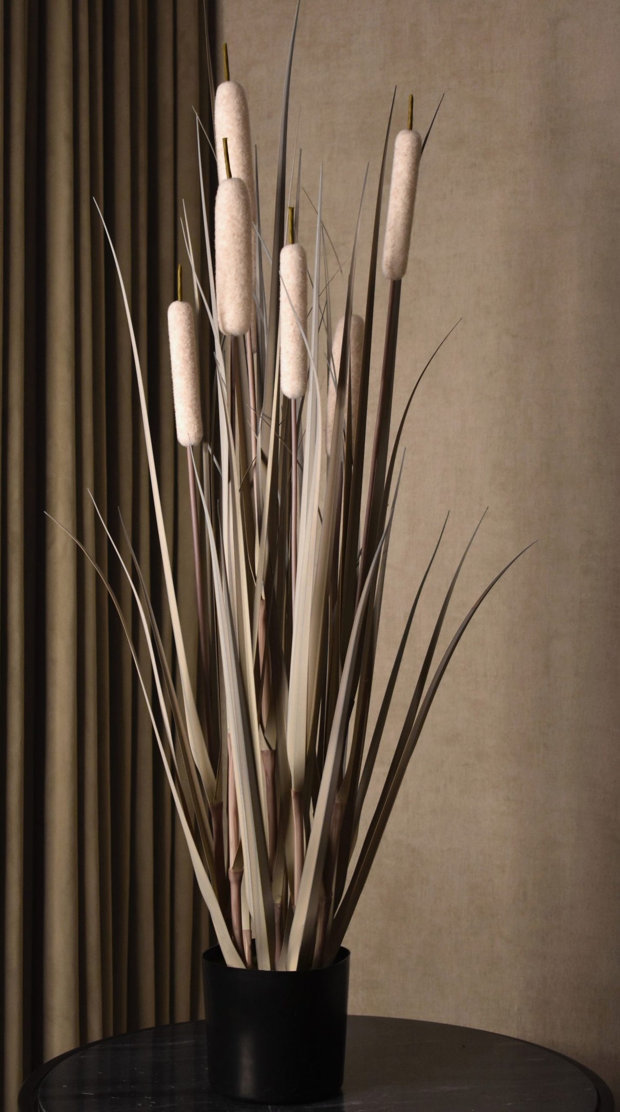 Cattail Grass