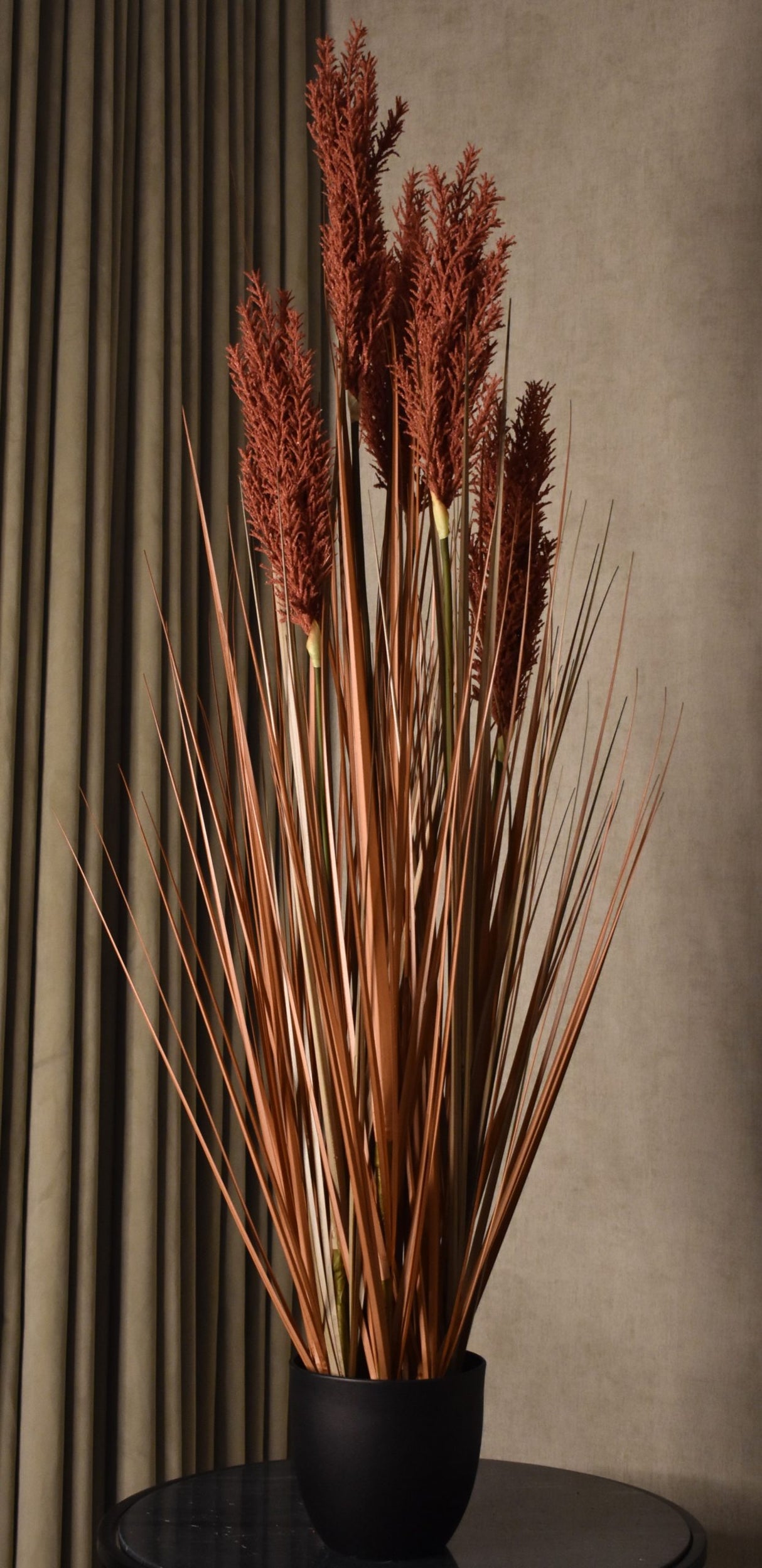 Grain Grass