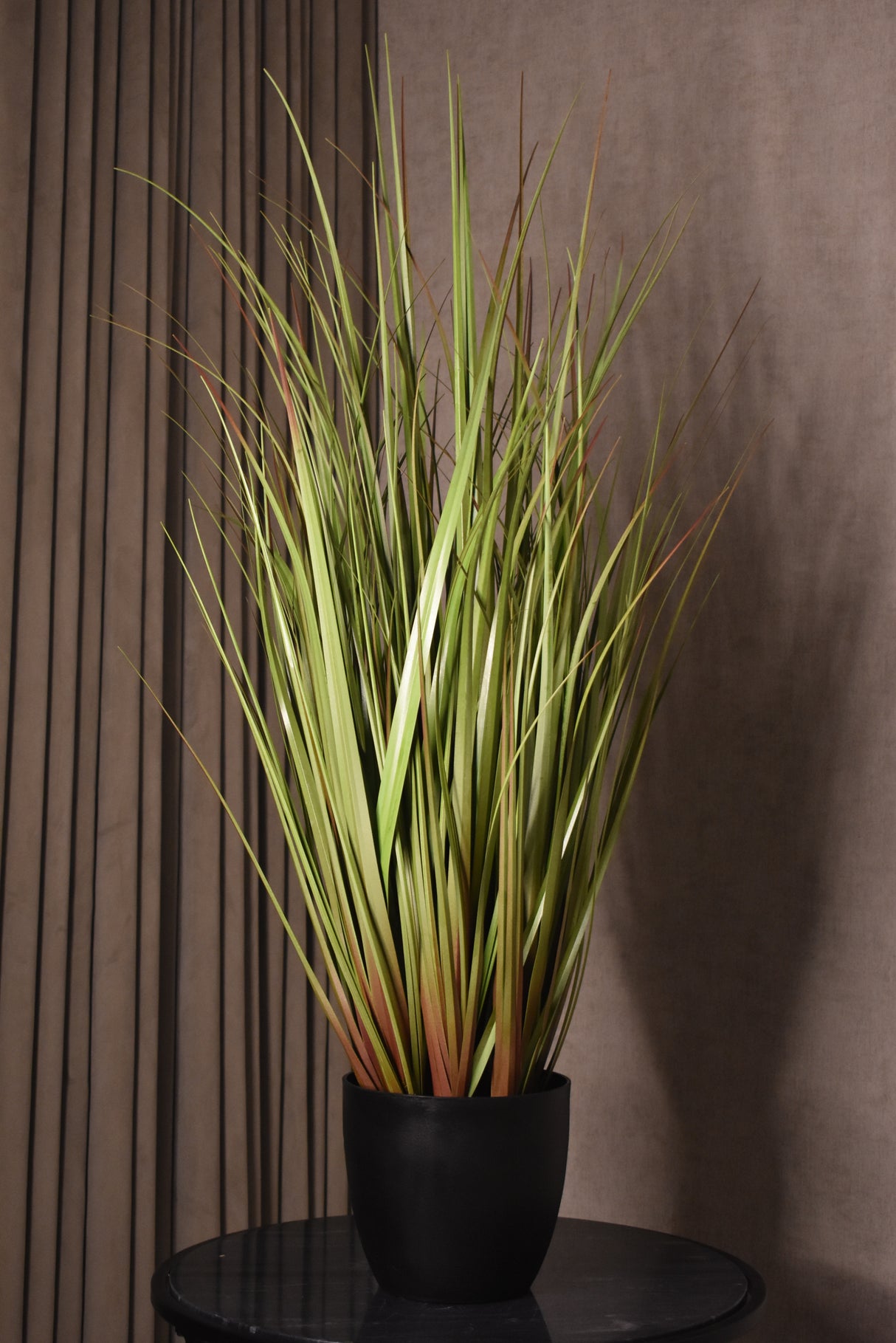 Wild Grass Greenish