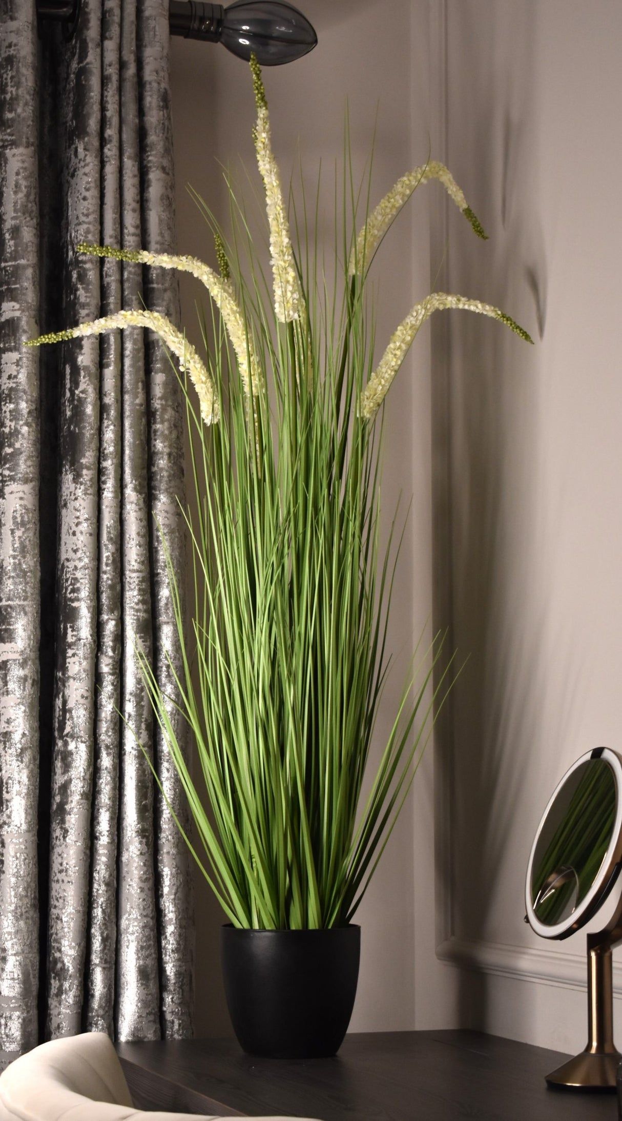 Eremurus Grass
