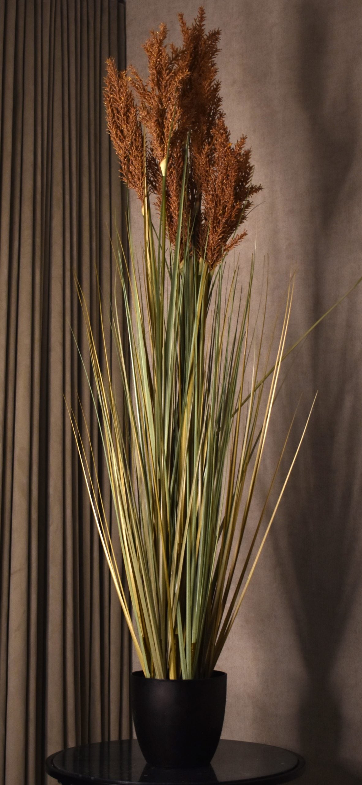 Grain Grass