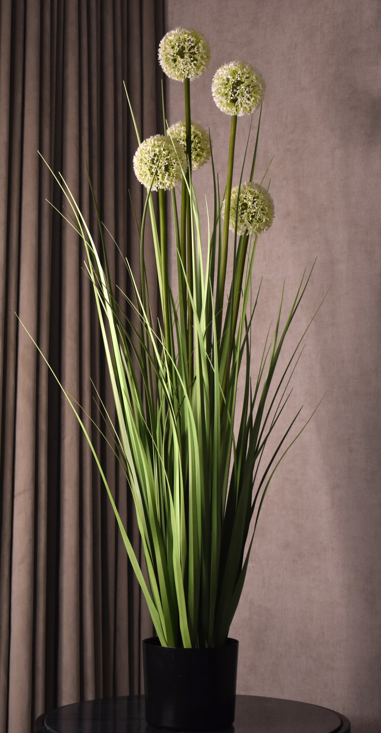 Allium Globe Grass