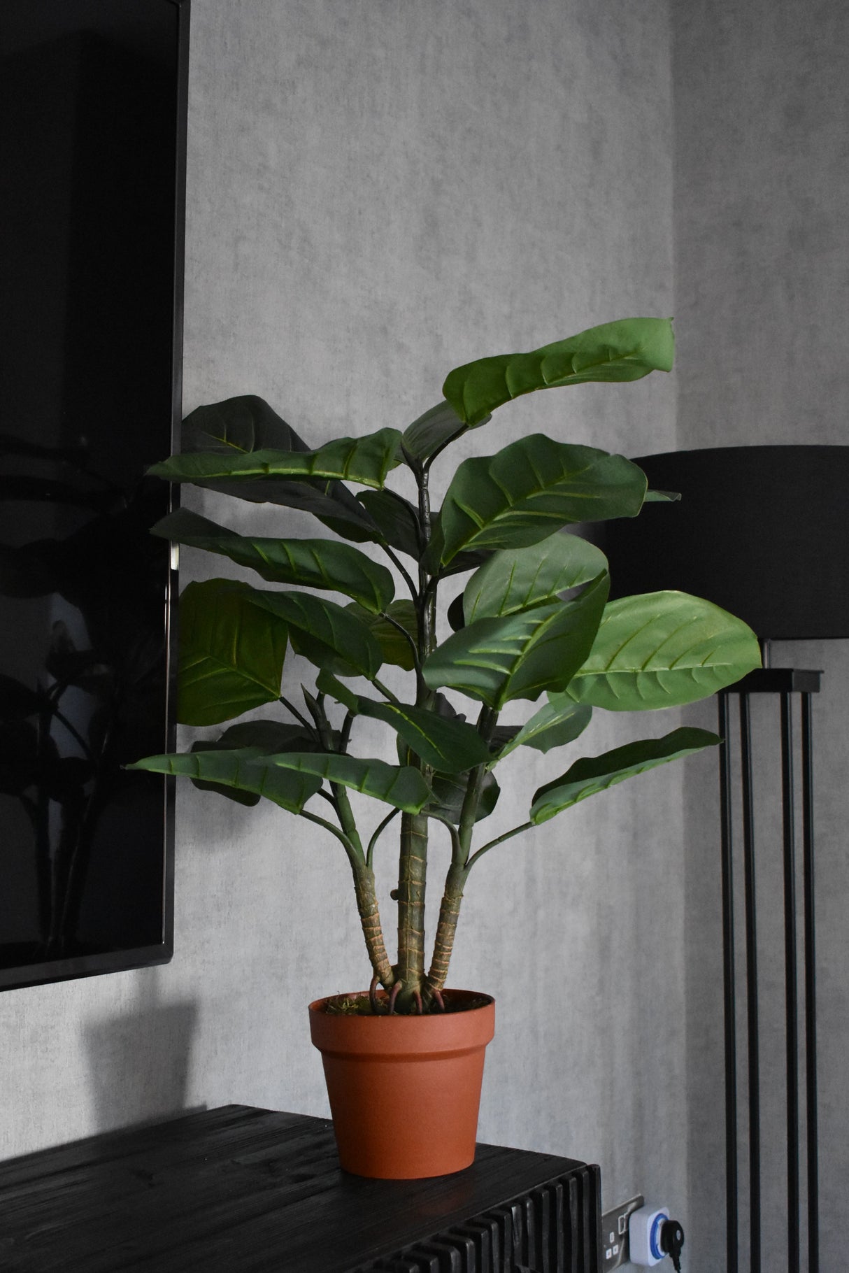 Oak Plant - 75cm