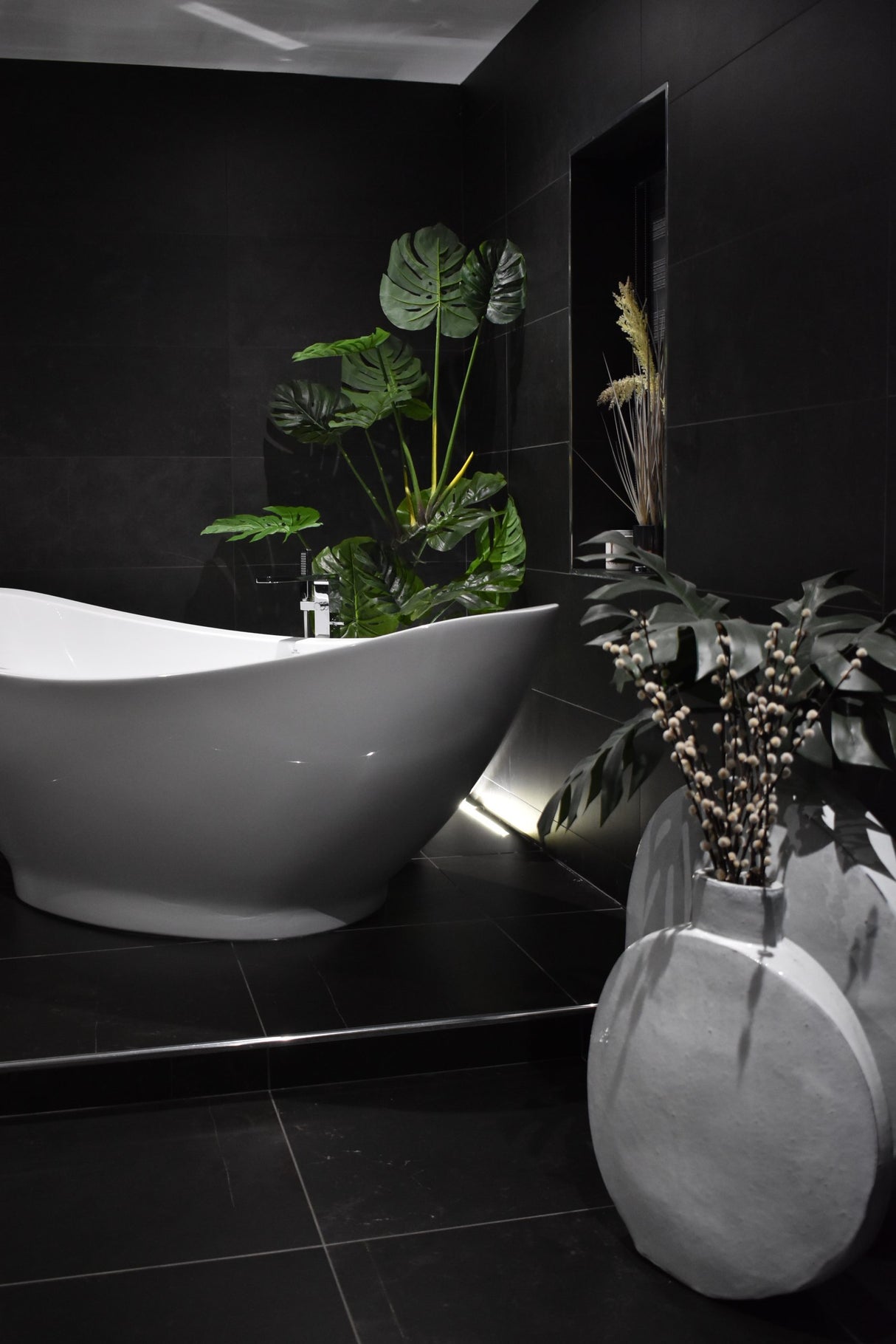Monstera Swiss Cheese Plant