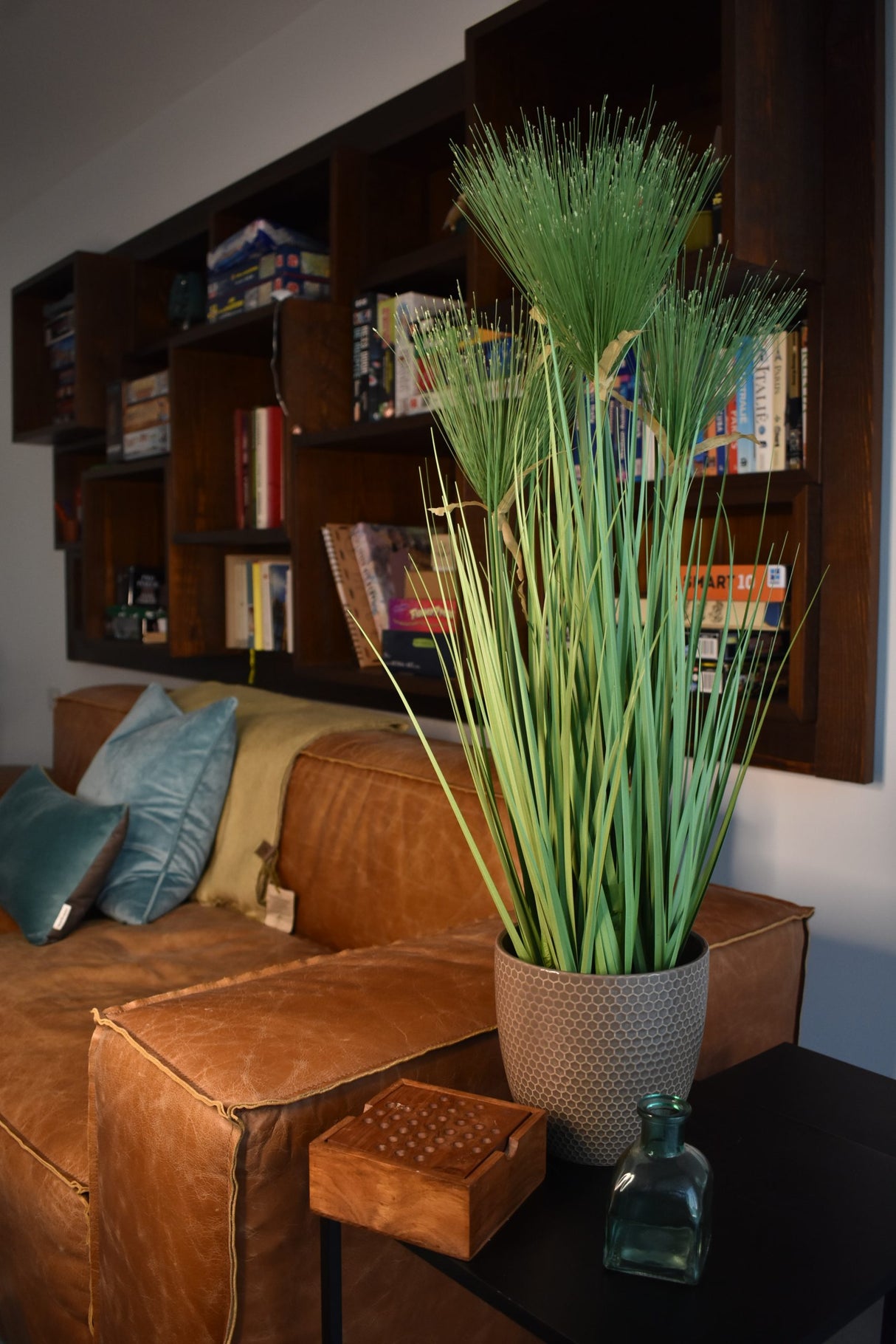 Cycas Grass