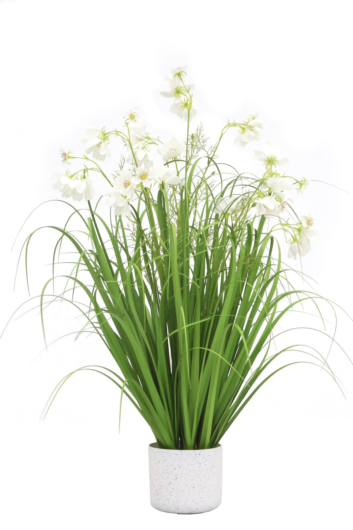 Flower Grass