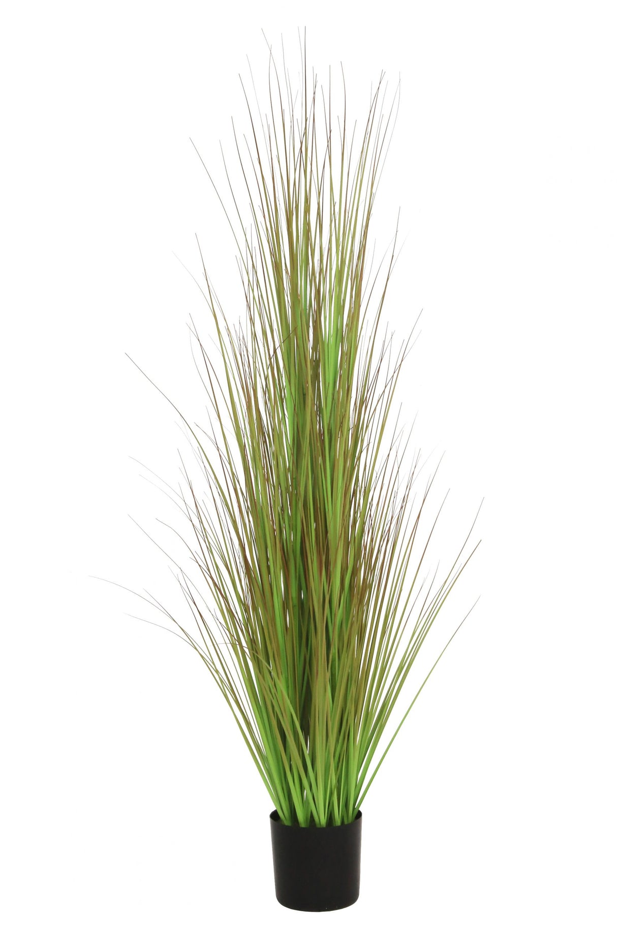 Grass Green/Brown