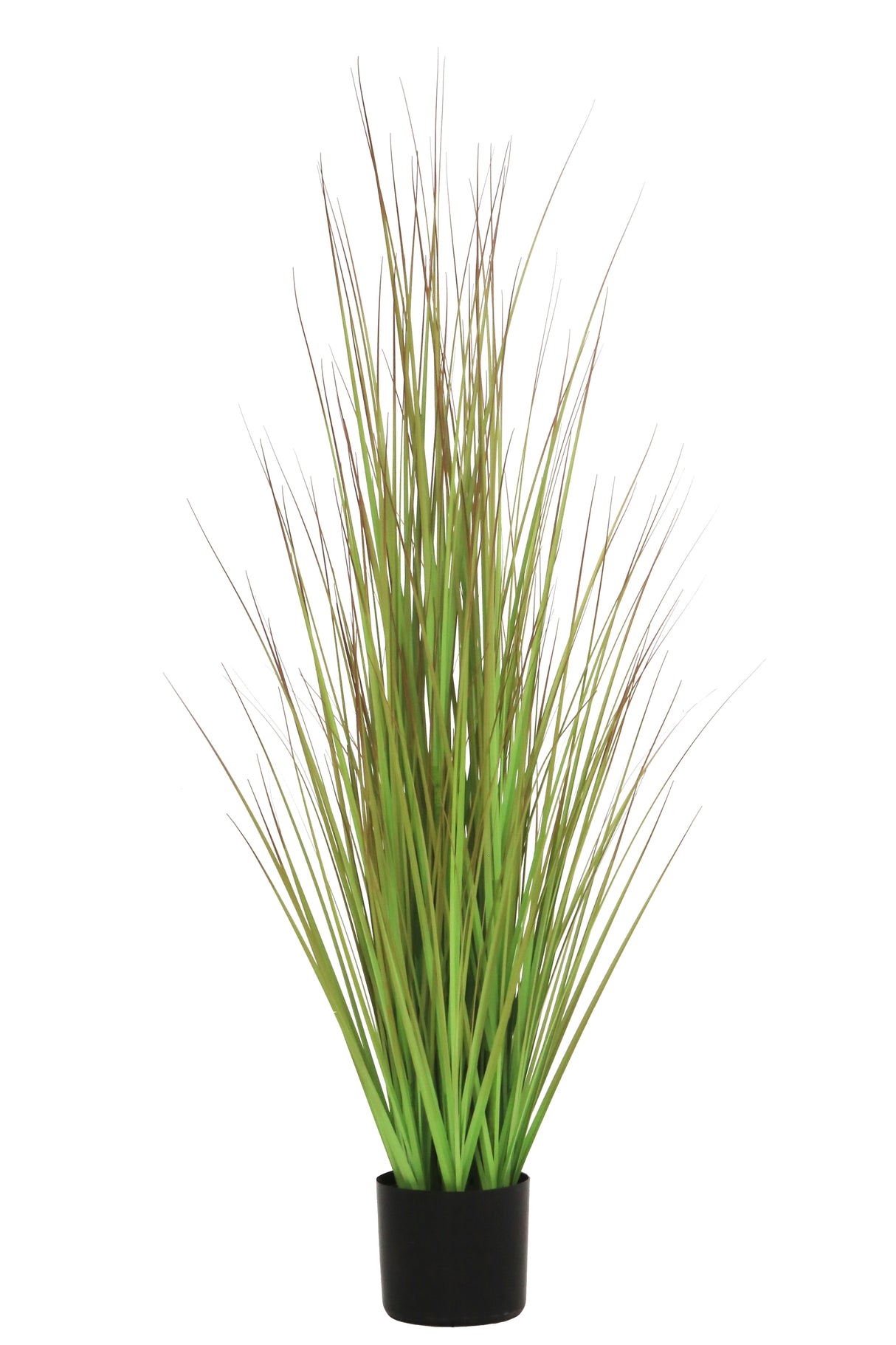 Grass Green/Brown