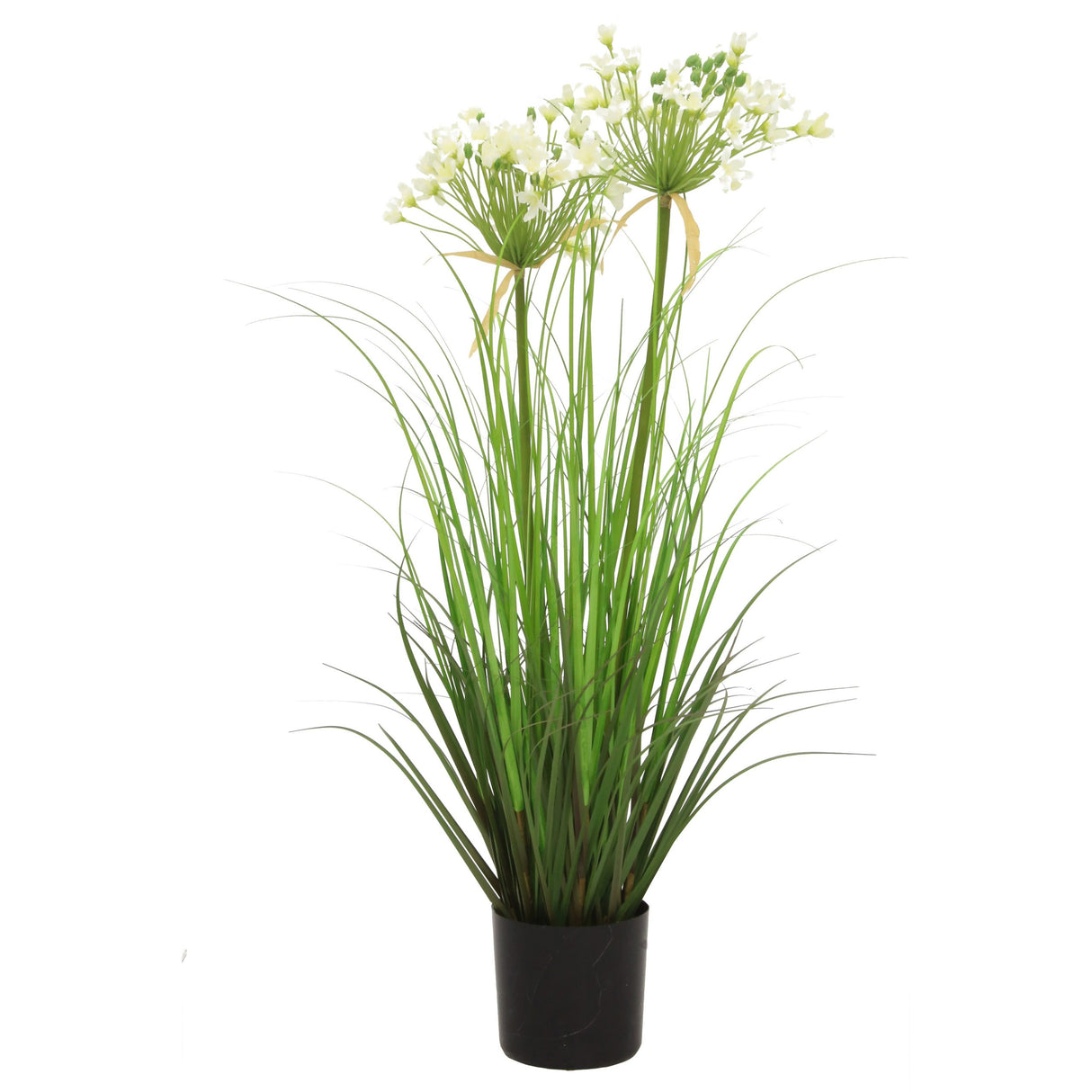Leek Flower Grass