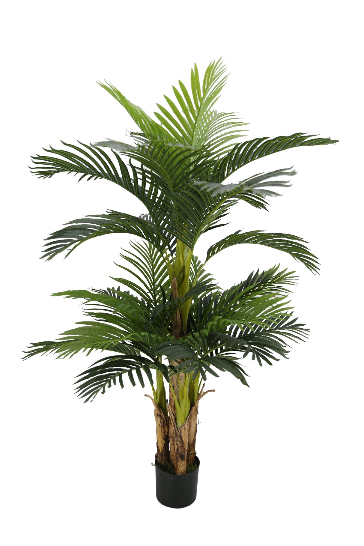 Hawaii Palm Tree 145CM