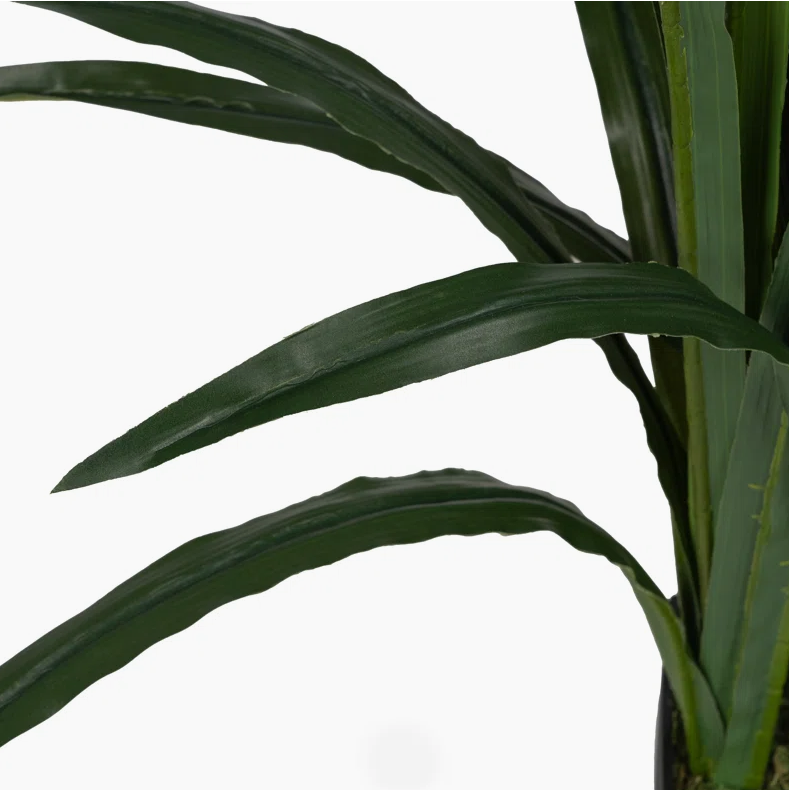 Cymbidium Orchid 140CM