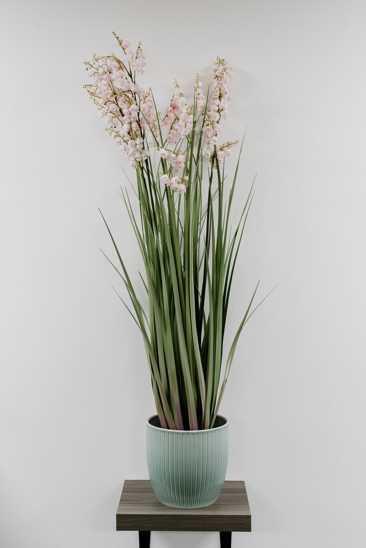Bellflower Grass