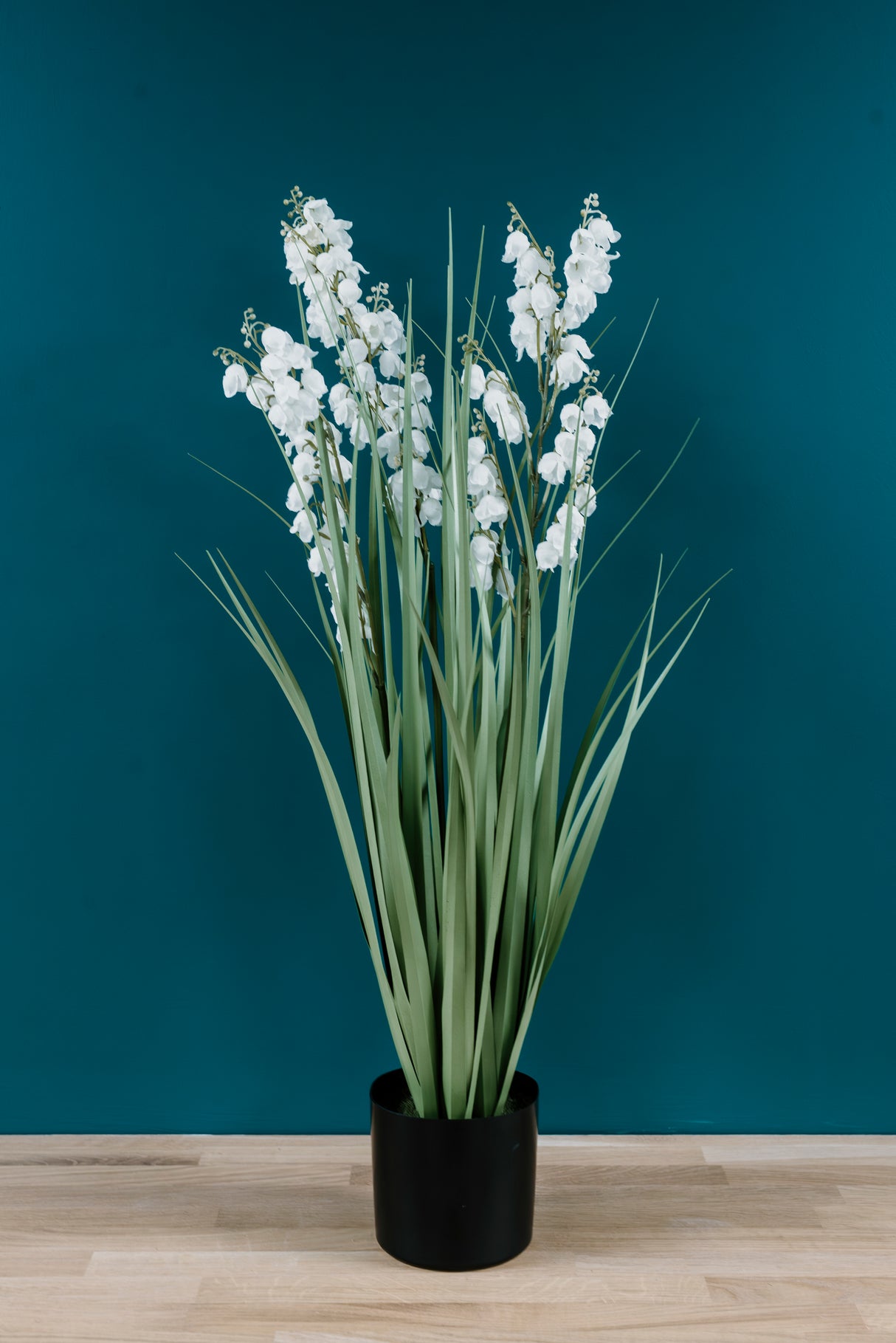 Bellflower Grass