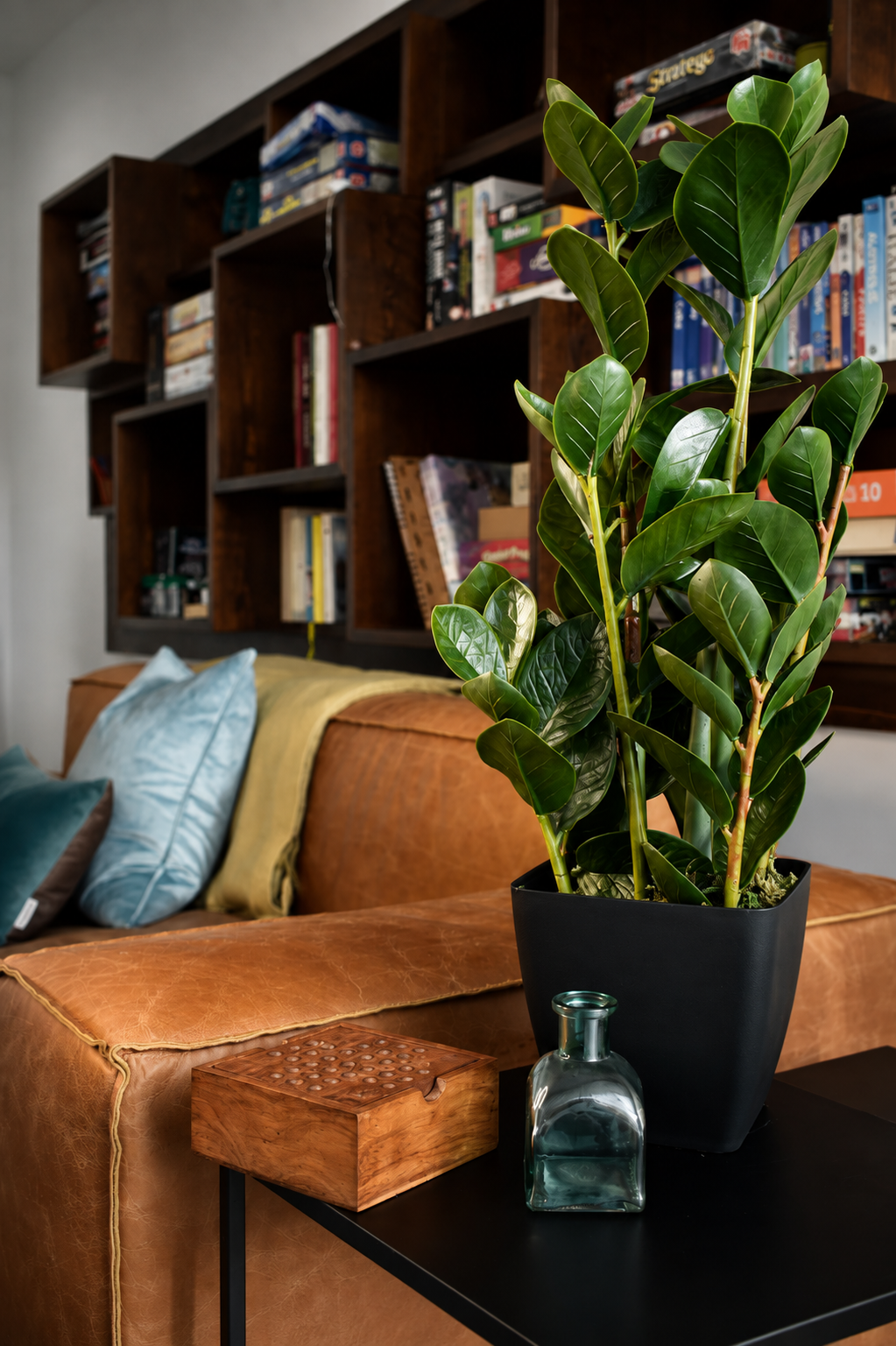 Fiscus Plant 75CM
