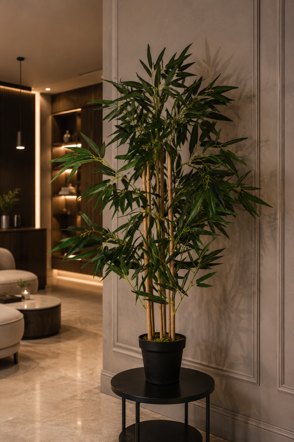 Japanese Bamboo Plant
