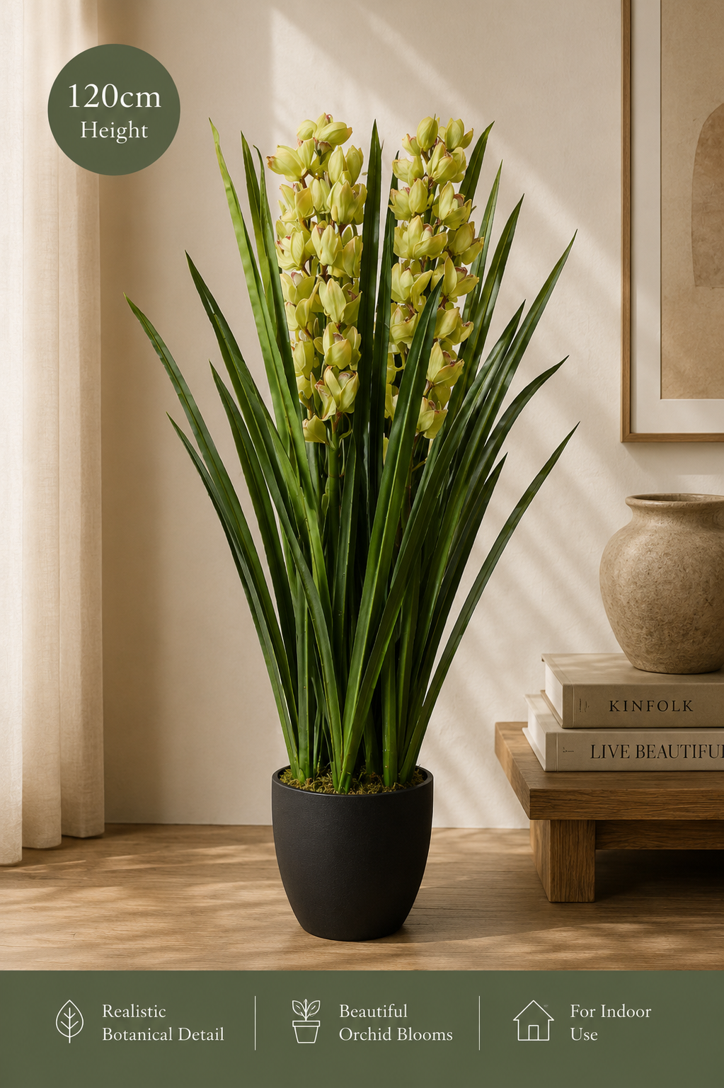 Dwarf Cymbidium Plant