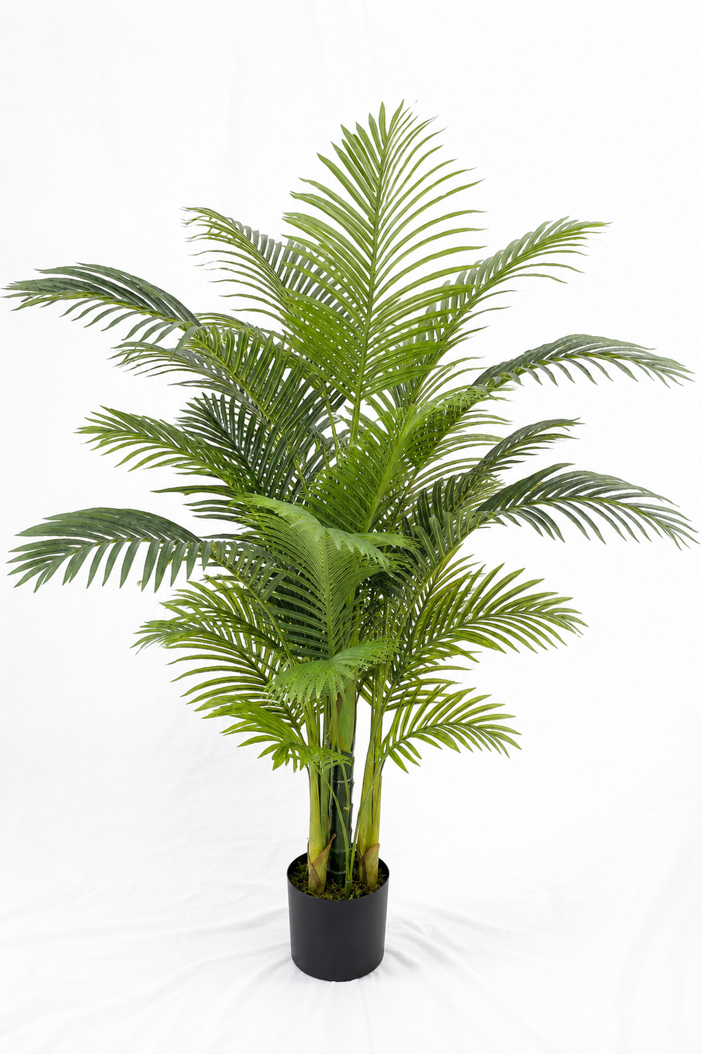 Hawaii Palm Tree 155CM