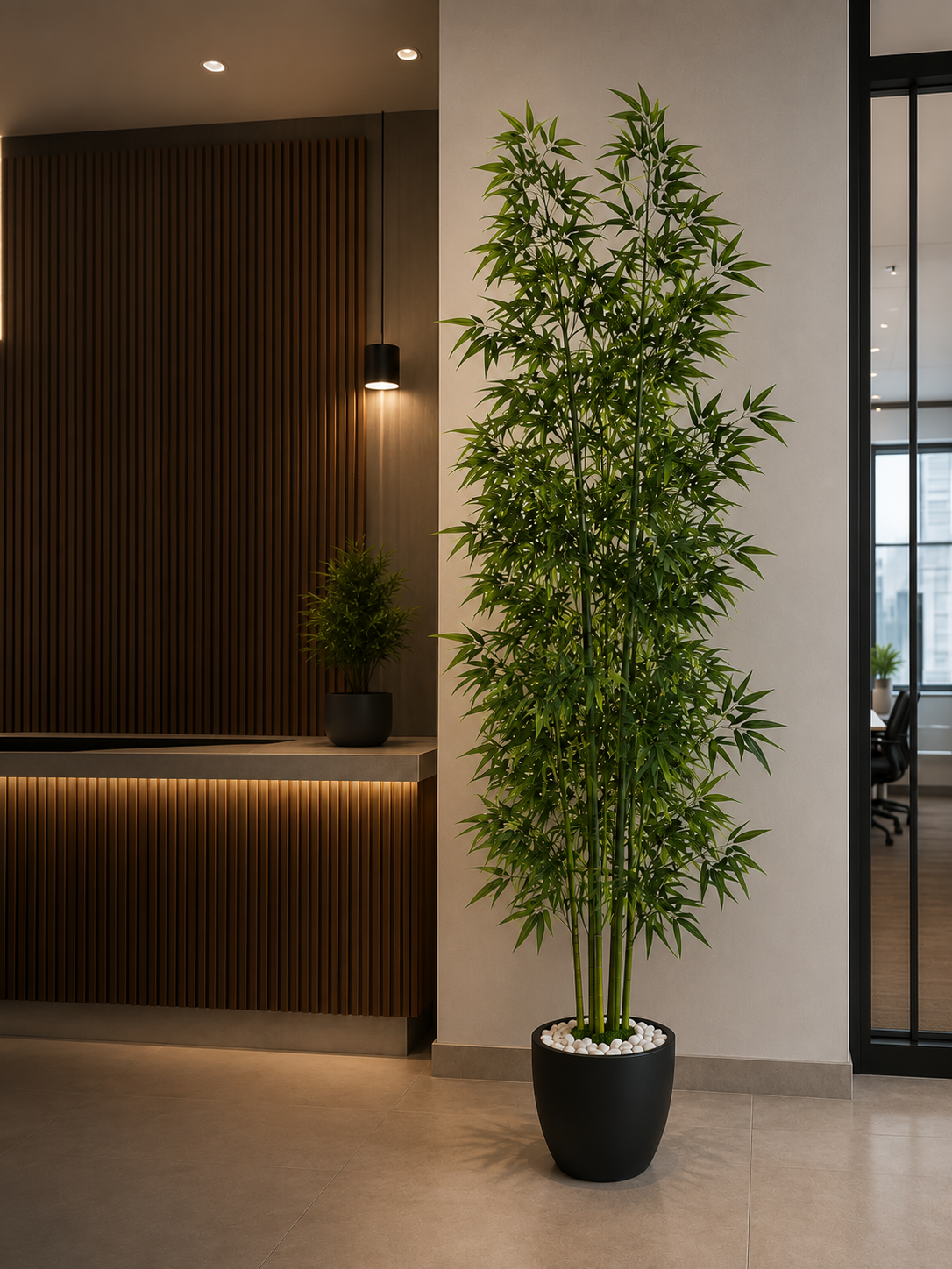 Green Stem Bamboo Plant