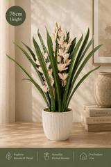 Tropical Living Design | Summer Styling Set