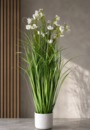 Flower Grass