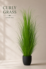 Curly Green Grass