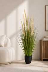 Horsetail Grass