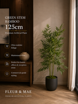 Green Stem Bamboo Plant