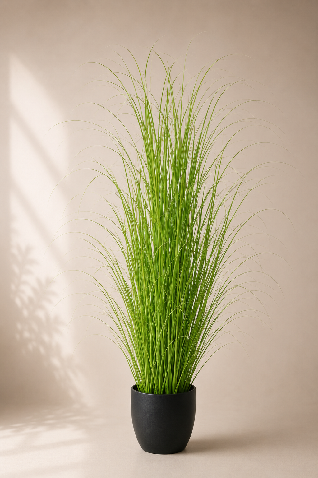 Curly Green Grass