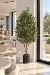 Olive Tree Pyramid  170cm