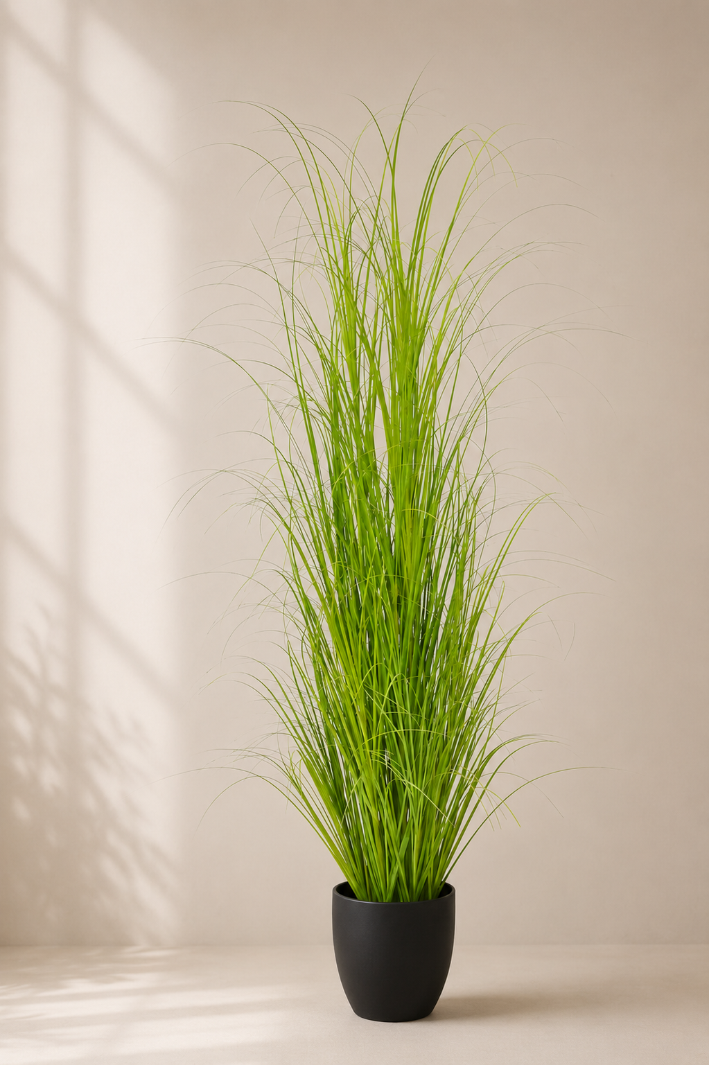 Curly Green Grass