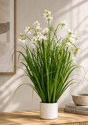 Flower Grass