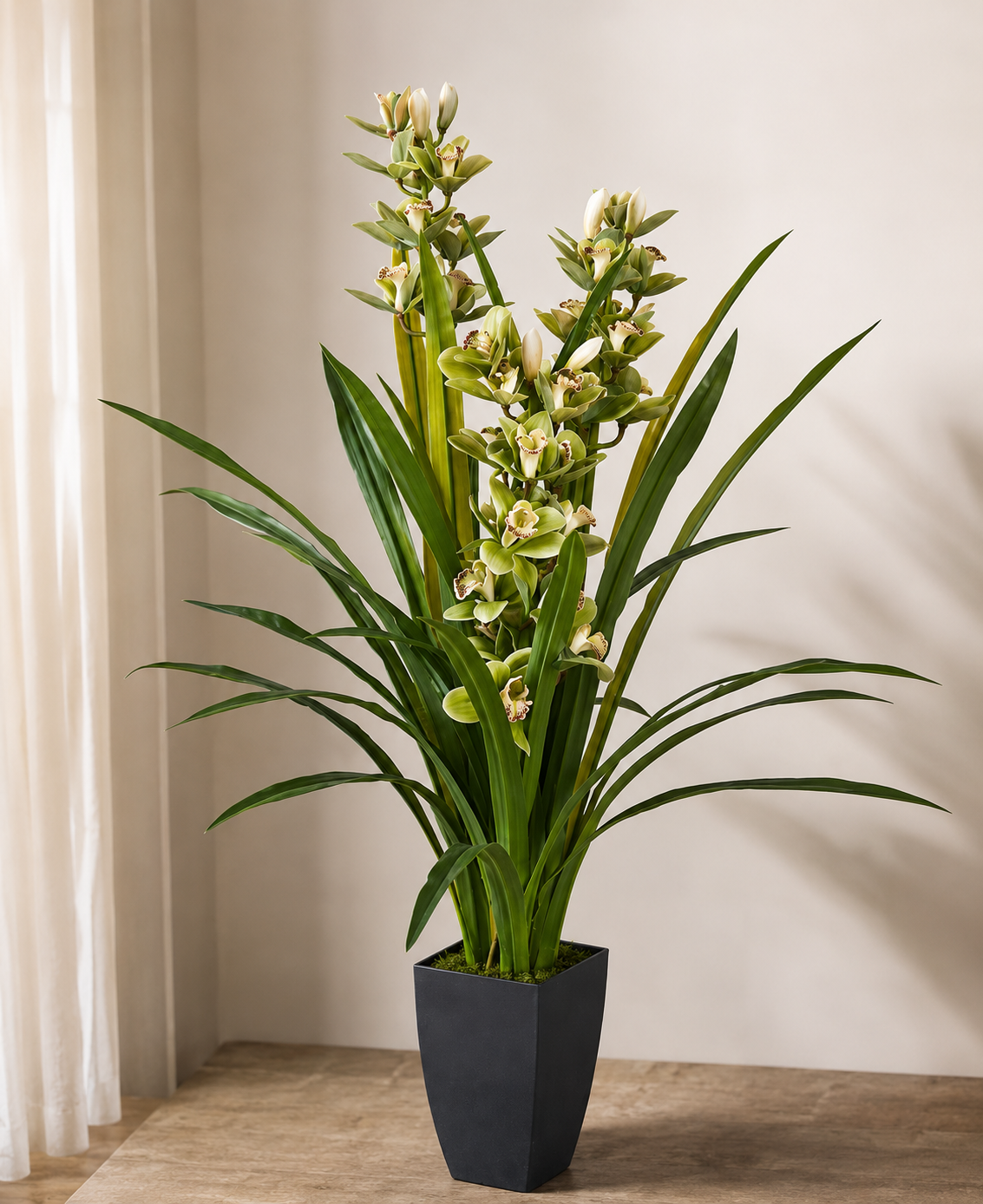 Cymbidium Orchid 140CM