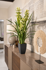 Cymbidium Orchid 140CM