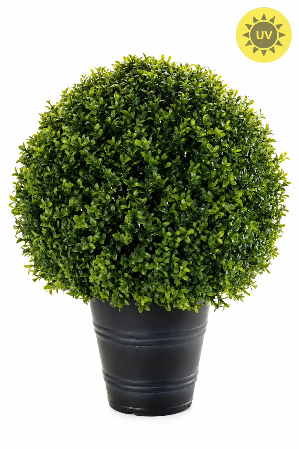 Boxwood Ball Topiary
