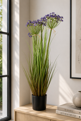 Leek Flower Grass