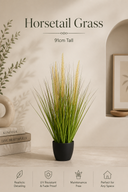 Horsetail Grass