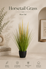 Horsetail Grass