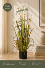 Tropical Living Design | Summer Styling Set