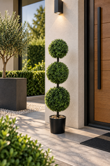 Boxwood Triple Ball Tree